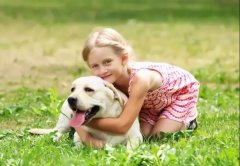 養(yǎng)狗一陣子，狗記一輩子