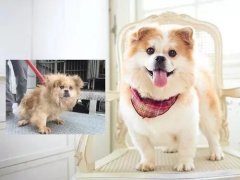 沒有誰，天生丑陋。