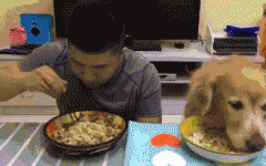 如果你家也有只吃貨狗狗，這點一定要注意！