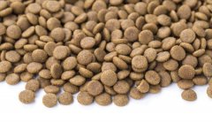 狗糧貓糧怎么儲(chǔ)存，華興寵物食品提示您