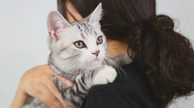 元旦丨新的一年,寵愛(ài)有加